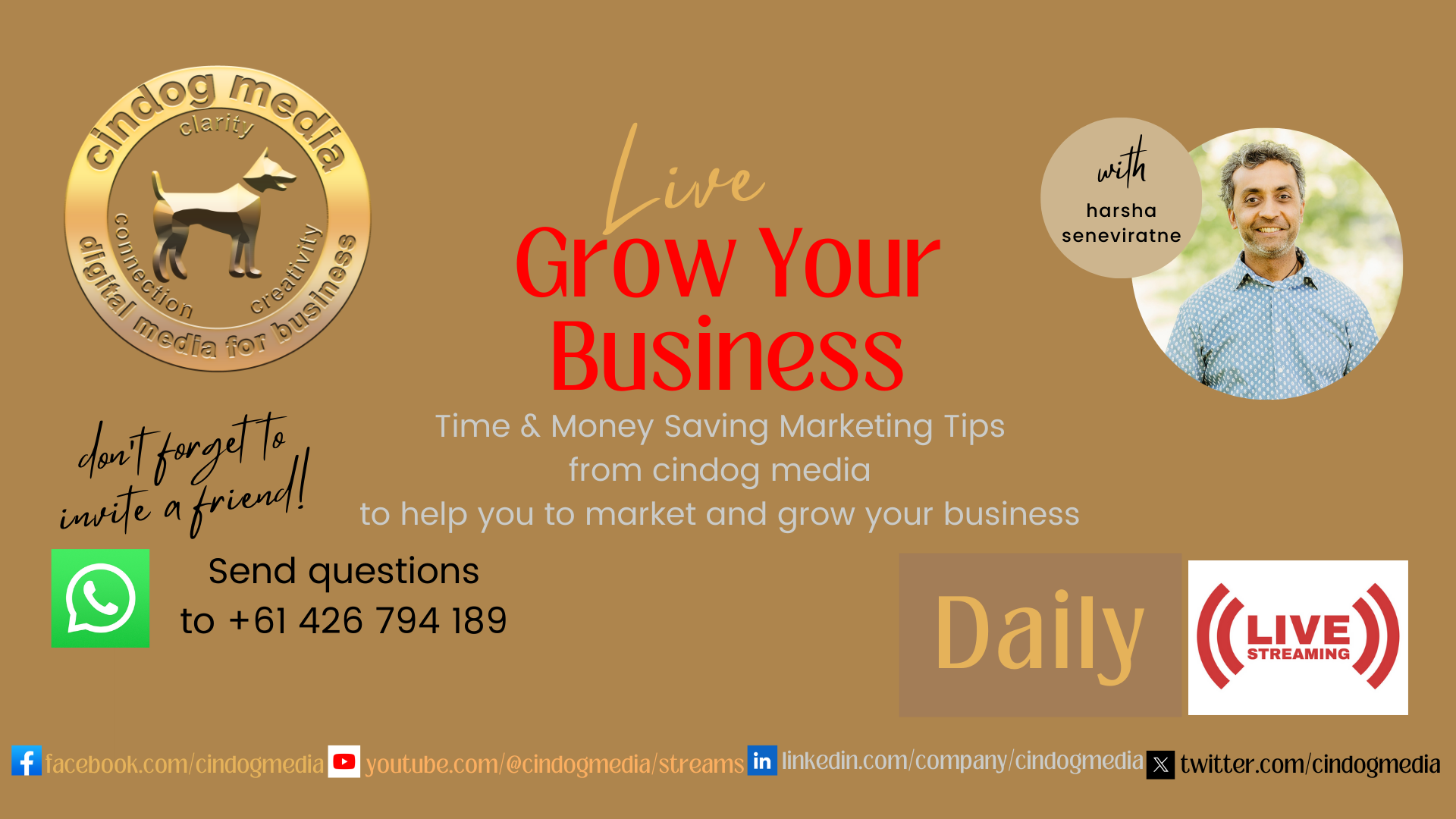 Grow Your Business with cindog media