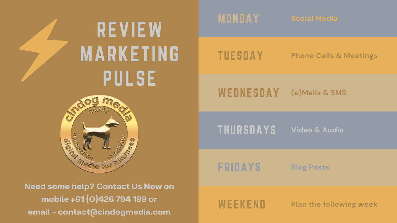 Review Marketing Pulse cindog media